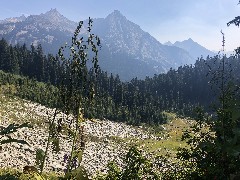 Maple Heather Trail, WA